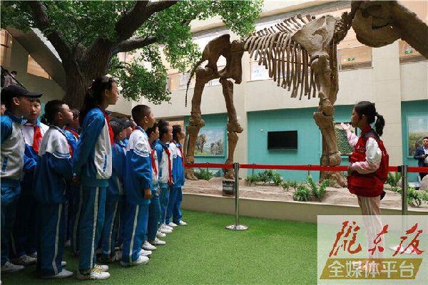 【第一眼】慶陽市博物館開展多項(xiàng)活動慶祝“5·18國際博物館日”
