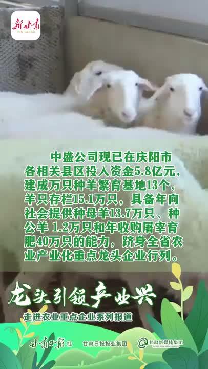 【微視頻】“羊光大道”闊步行——甘肅中盛農牧集團根植慶陽發展羊產業側記