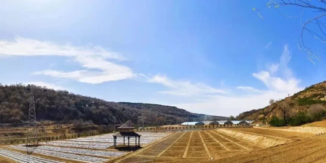 華池縣南梁鎮全力開展人居環境整治助力低空賽道油田挑戰賽